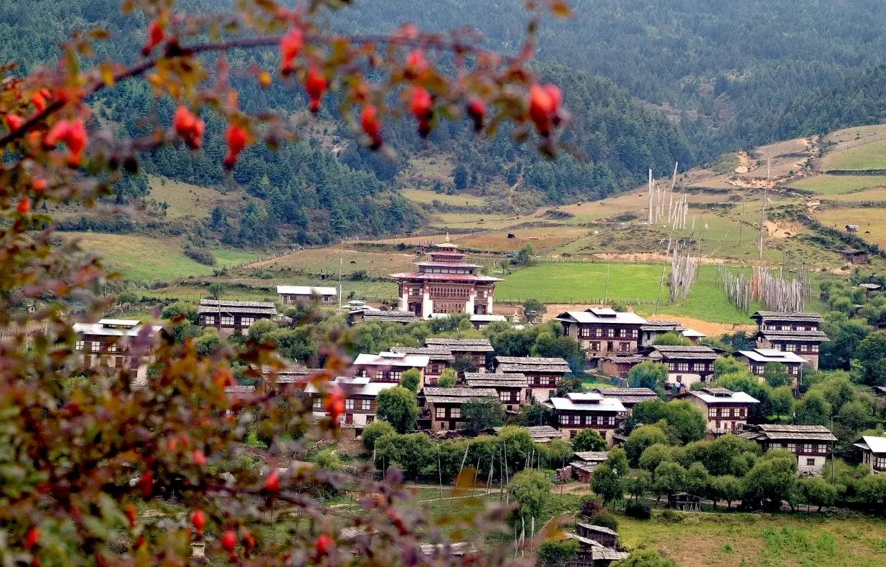 Bhutan6