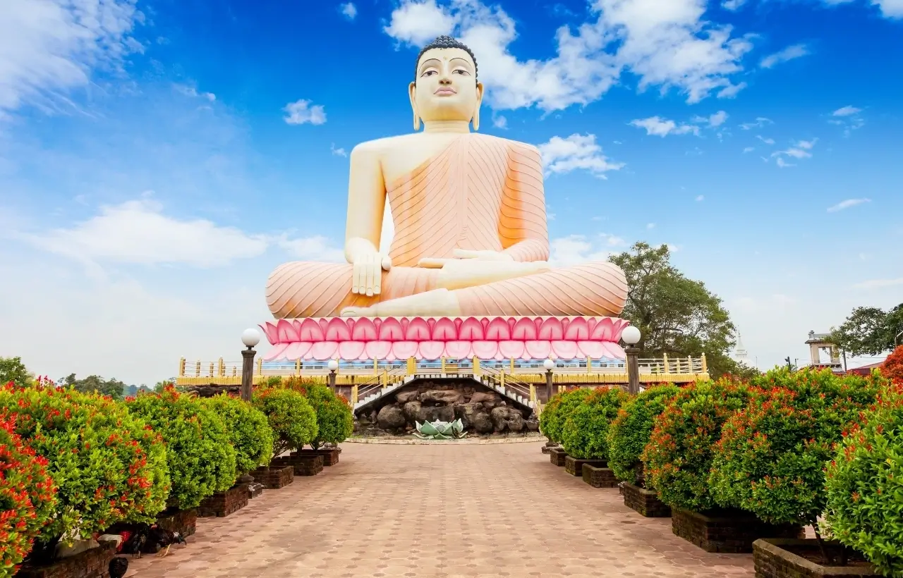 SpiceRootofIndia&Srilanka8