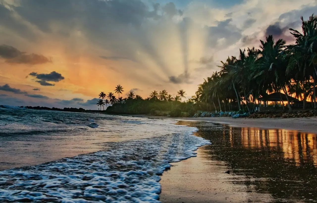 xri9ysibkebibdvtvmon