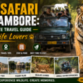 Tiger Safari Ranthambore: The Complete Travel Guide for Wildlife Lovers 